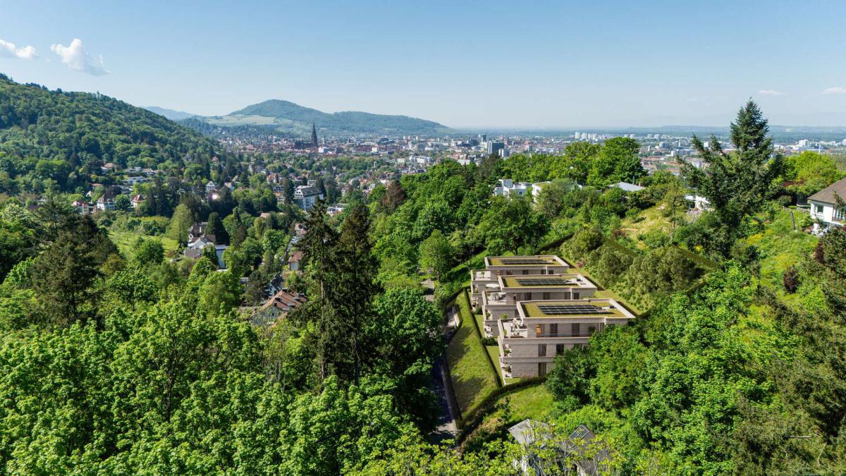 BV TreZen - Umgebung
